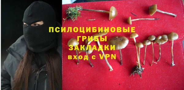 крисы Алексеевка