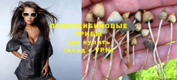 героин Алзамай