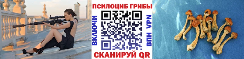 магазин продажи наркотиков  это как зайти  Галлюциногенные грибы GOLDEN TEACHER  Барнаул 
